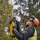 DeWalt  DCMHT563N-XJ Akkus sövényvágó 18V akku és töltő nélkül