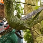 Bosch  UniversalChain35 Elektromos láncfűrész 35cm 1800W 06008B8300/06008B8303