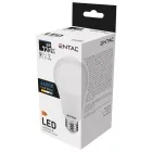 Entac LED izzó Globe E27 8W CW 6400K 5999097977669