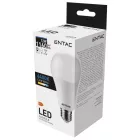 Entac LED izzó Globe E27 12W CW 6400K 5999097903781