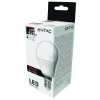 Entac LED izzó Mini Globe E14 6,5W WW 3000K 5999097900285