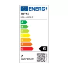 Entac LED izzó Mini Globe E14 6,5W NW 4000K 3-Pack /3db 5999097997261