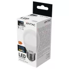 Entac LED izzó Mini Globe E27 6,5W CW 6400K 5999097903880