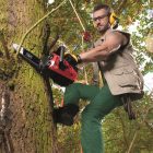 Scheppach CSP 2540 Benzinmotoros láncfűrész 25cm, 25cm3