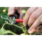 Fiskars  Solid Fűszernövényvágó olló SP220 (1063326)