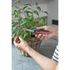 GARDENA  FreshCut Szüretelő olló (12212-20)