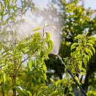 GARDENA  Háti permetező 12 L (11140-20)