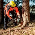 Metabo  MS36-18LTXBL40 Akkus láncfűrész 40cm 2x18V LXT akku és töltő nélkül 601613850