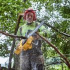 DeWalt  DCMCS575N-XJ Akkus láncfűrész 50cm FLEXVOLT 54V akku és töltő nélkül